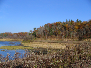 Late fall color along the trail