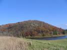 Late fall hillside