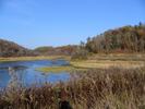 Curving trail view