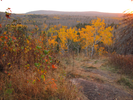 Fall colors at sunset