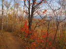 Lake Superior from Carlton Peak