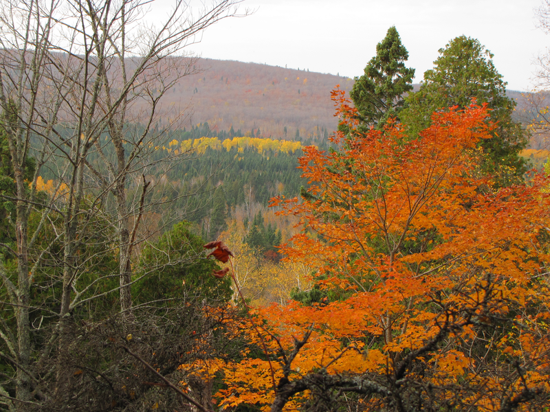 View from the side of Oberg Mountain