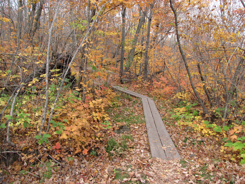 Trail to the next overlook