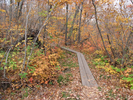 Trail to the next overlook