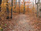 Trail between overlooks