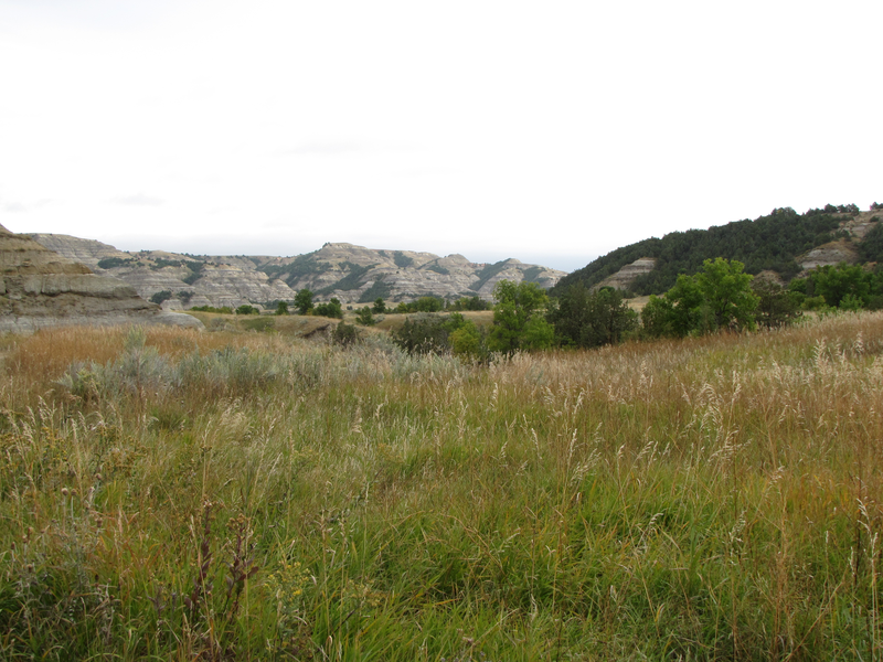 View from the trailhead