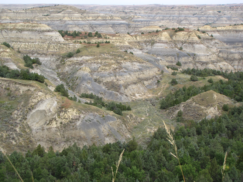 View of the trail coming up