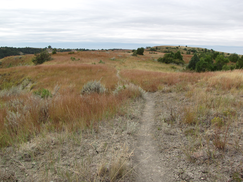 Trail across the high prairie