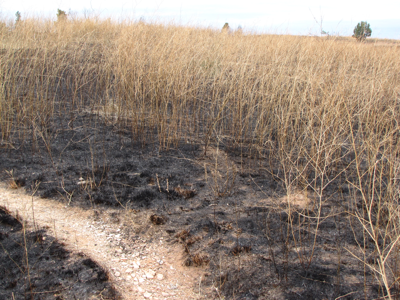 Awesome control of the prescribed fire