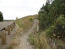 Trail heads away from the road