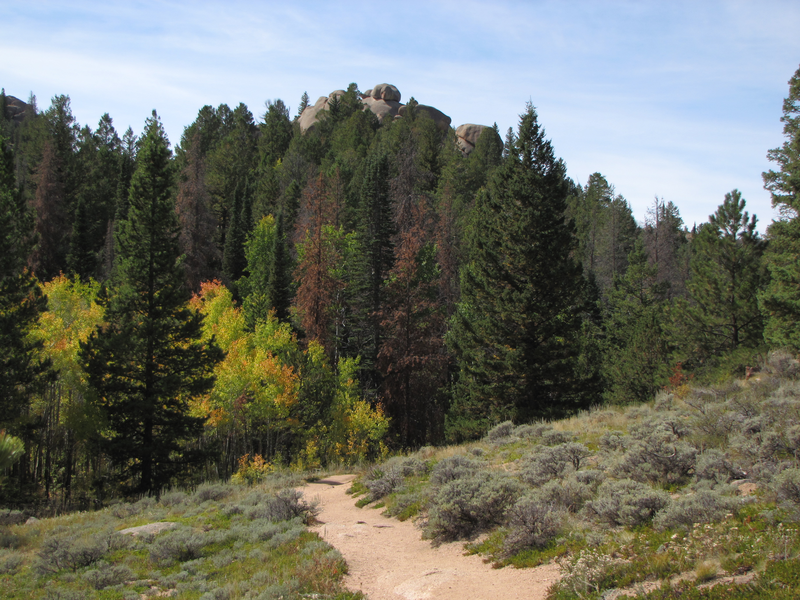 Rock above the treetops