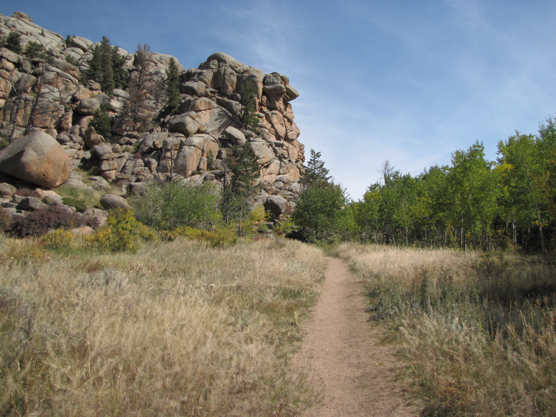 Grassy meadow at the edge of the boulder fields