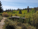 Fall colors along the trail