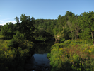 River from bridge