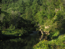 River from bridge