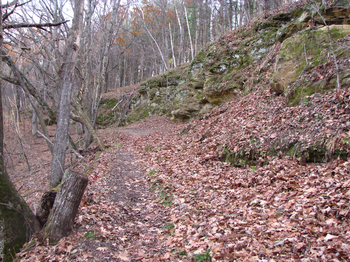 Trail below the bluffs