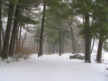 Walking along the St. Croix