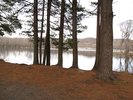 View of the St. Croix from the trail