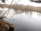 View of the St. Croix from the trail