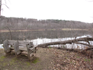 View from a bench along the trail