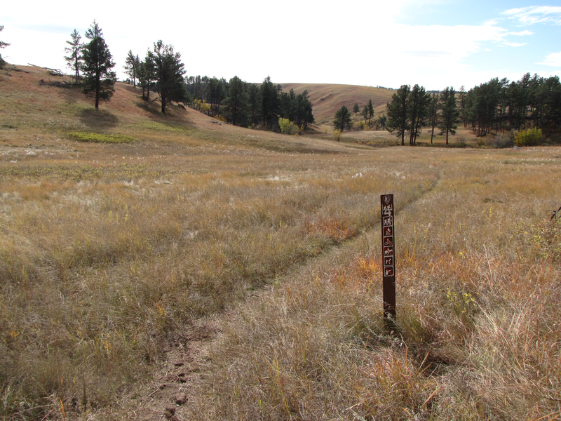 Trail #4 heading down towards a stream