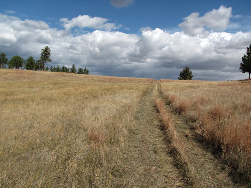Big sky meadow