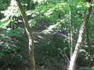 Trail on the other side of a gorge