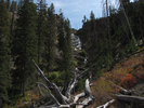 Falls view